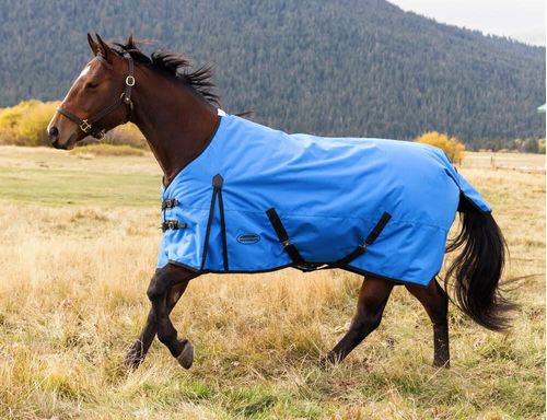 Weatherbeeta Comfitec Original Standard Neck Lite - Blue/Black
