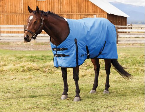 Weatherbeeta Comfitec Original Standard Neck Medium - Blue/Black