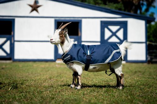 Horseware Goat Coat 100g - Witney Navy