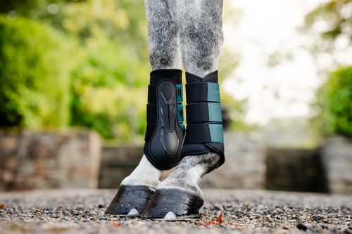 Horseware Classic Brushing Boots - Dynasty Green