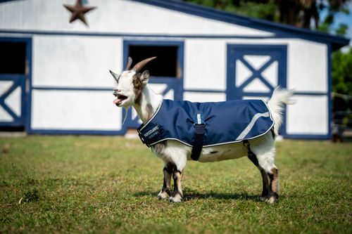 Horseware Goat Coat 200g - Witney Navy