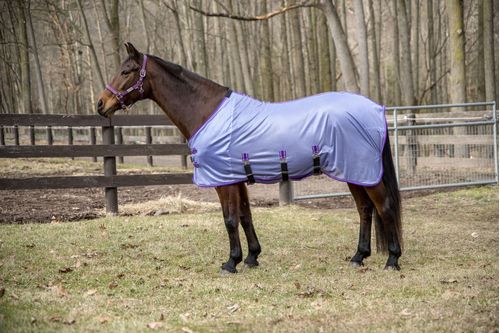 TuffRider Comfy Plus Standard Neck Fly Sheet - Purple/Deep Purple
