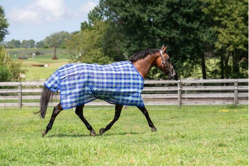 TuffRider Texilene FlyShield Sheet - Sky Blue