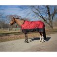 Equestrian Red