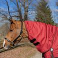 Equestrian Red