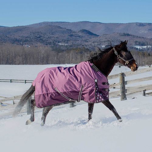 Equinavia Norse Mid Weight Turnout Blanket 200g - Plum Wine/Orchid Haze