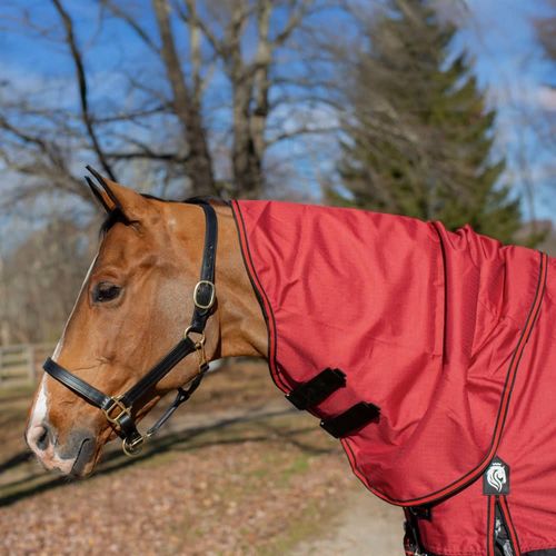 Equinavia Norse Turnout Neck Cover 200g - Equestrian Red