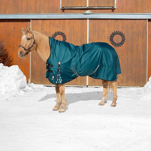 Equinavia Arktis Extended Neck Mid Weight Turnout Blanket 200g - Deep Green