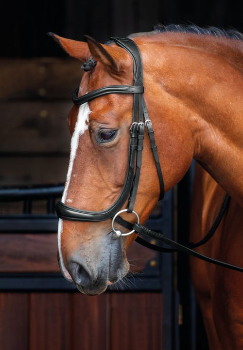 Shires Velociti Rapida Ergonomic Curved Cheek Bridle - Havana
