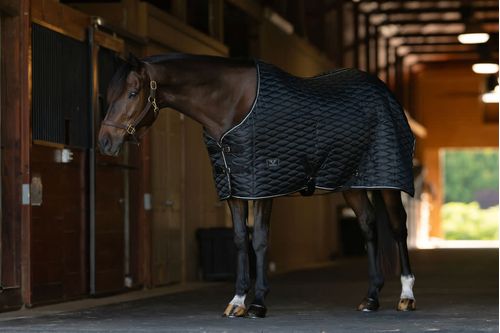 TuffRider Kozy Komfort  420D Stable Blanket w/Diamond Quilting 200 - Black