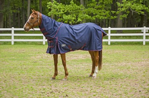 TuffRider 1200 D Comfy Detachable Neck Turnout Sheet - Navy