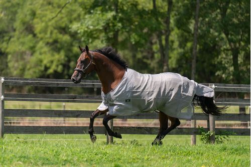 TuffRider NevaTear Technical Standard Neck Fly Sheet - Silver