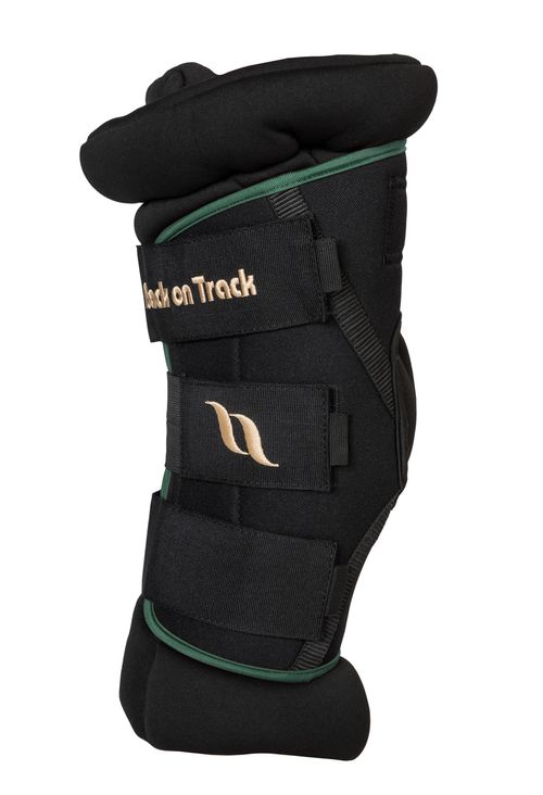 OPENBOX: Back on Track Royal Padded Hock Boots Deluxe - X Large - Green