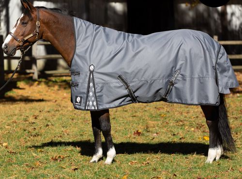 BARGAIN BARN: Equinavia Arktis Extended Neck Mid Weight Turnout Blanket 200g - 78 - Charcoal Gray