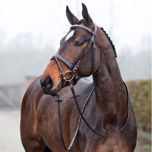 BARGAIN BARN: Horze Venice Soft Padded Bridle w/reins - Cob - Dark Brown