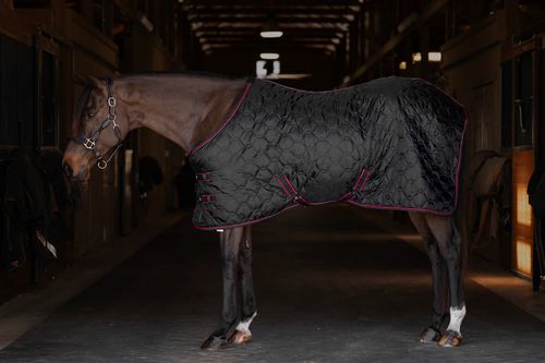 TuffRider Comfy 420D Medium 150 Stable Blanket - Black