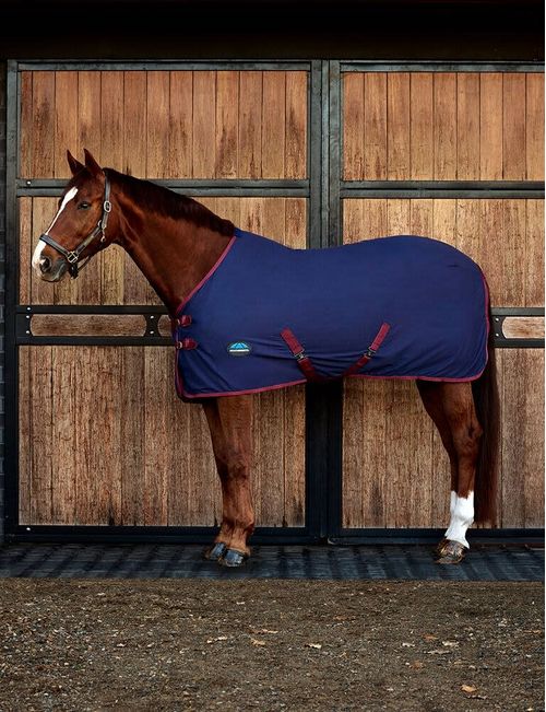 Weatherbeeta Cotton Sheet Standard Neck - Navy/Burgundy