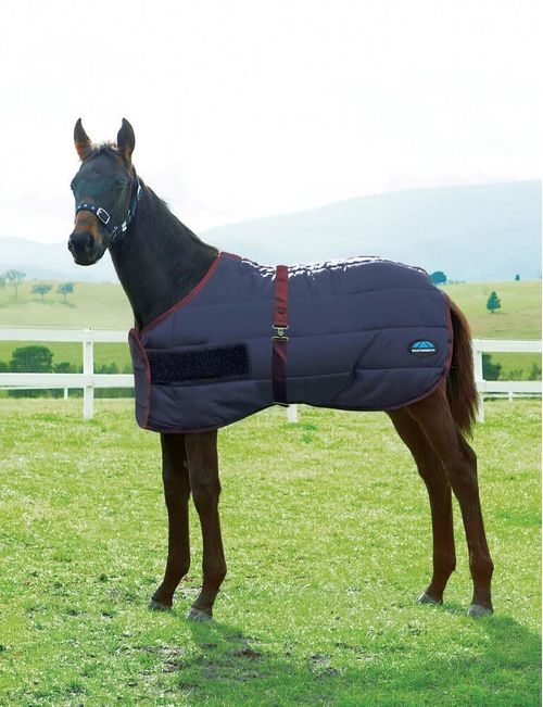 Weatherbeeta 420D Foal Standard Neck Medium - Navy/Burgundy