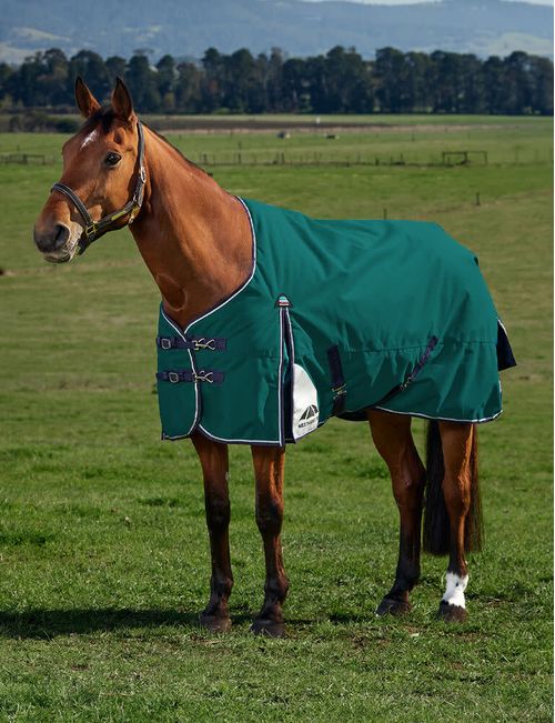 Weatherbeeta Comfitec Plus Dynamic Turnout 100g - Forest Green/Navy