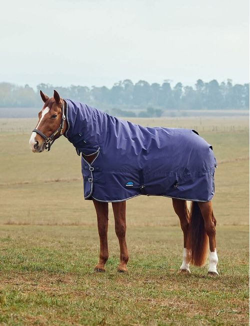 Weatherbeeta Comfitec Tyro Turnout Combo Neck 220g - Navy/Charcoal
