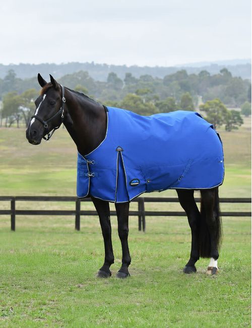 Weatherbeeta Comfitec Essential Turnout 220g - Cobalt/Black
