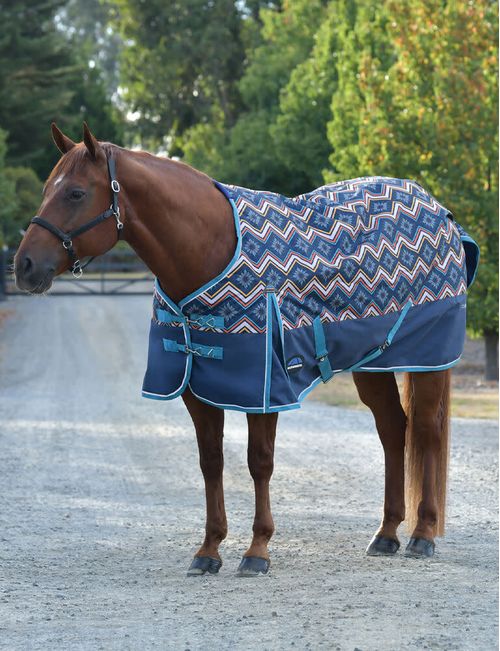 Weatherbeeta Comfitec Essential Turnout 220g - Sedona Star Print