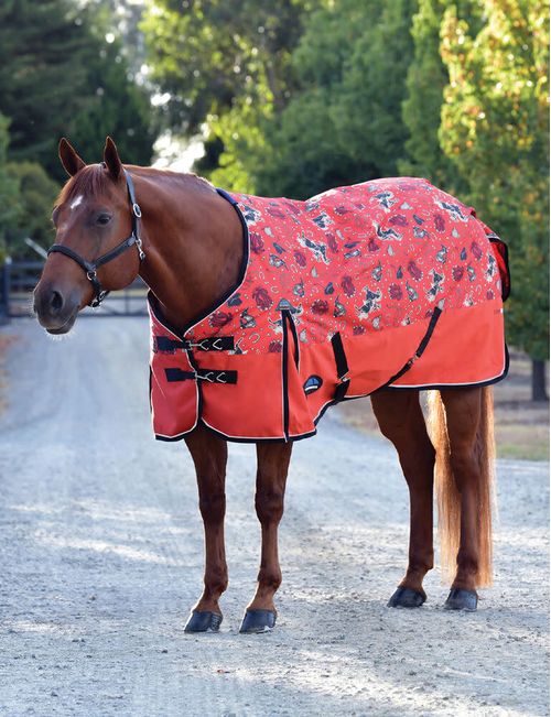 Weatherbeeta Comfitec Essential Turnout 220g - Rodeo Print