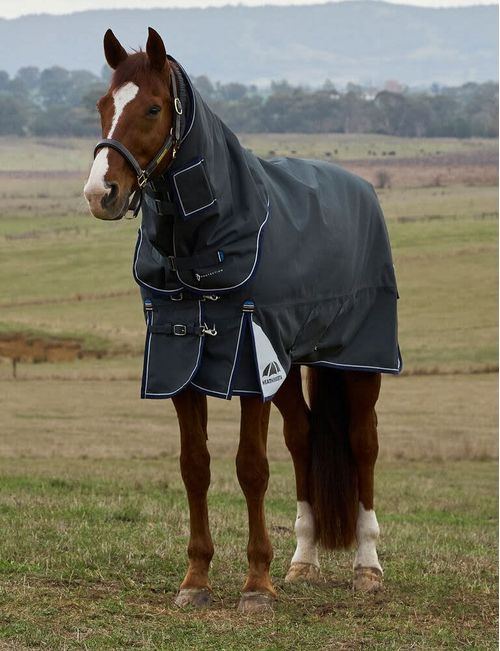 Weatherbeeta Comfitec Ultra Turnout Detach-A-Neck 220g - Charcoal