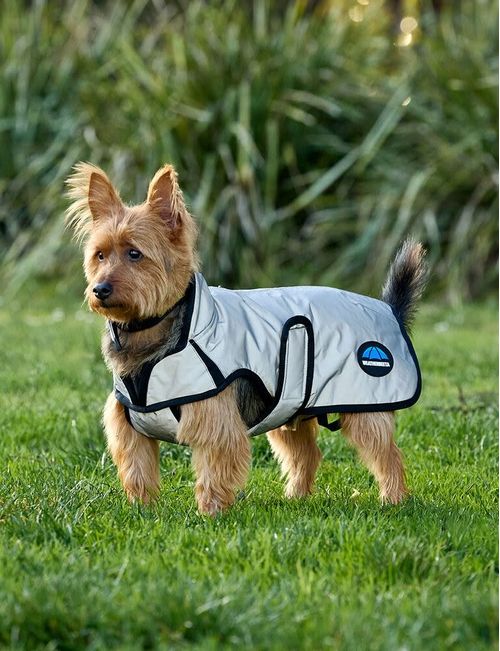 Weatherbeeta Comfitec Reflective Showerproof Dog Coat - Silver