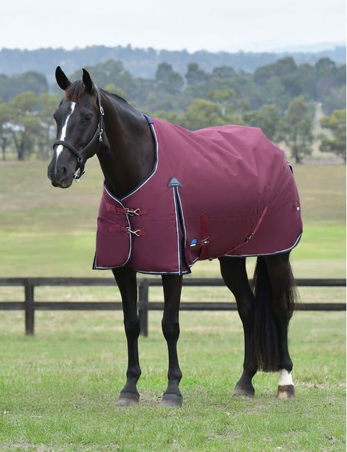 Weatherbeeta Comfitec Essential Turnout 360g - Burgundy/Navy