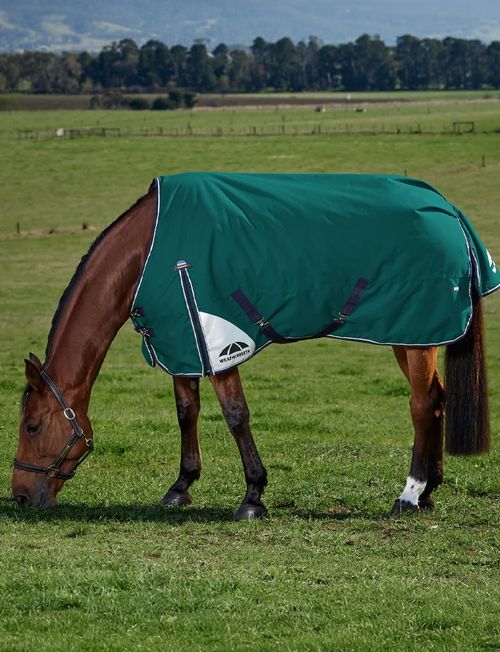 Weatherbeeta Comfitec Plus Dynamic Turnout 220g - Forest Green/Navy