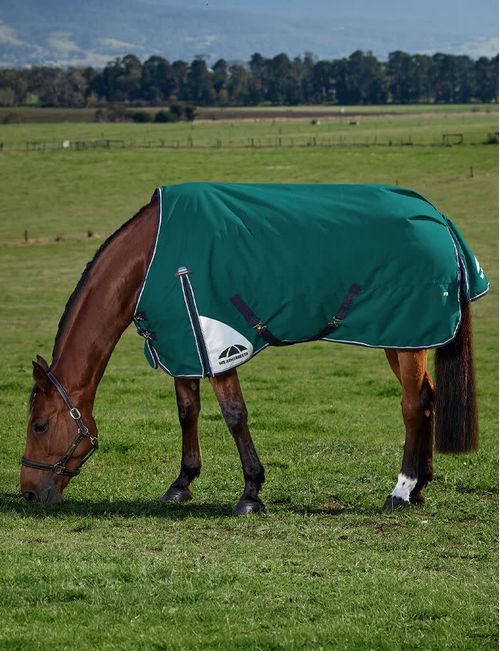 Weatherbeeta Comfitec Plus Dynamic Turnout 0g - Forest Green/Navy