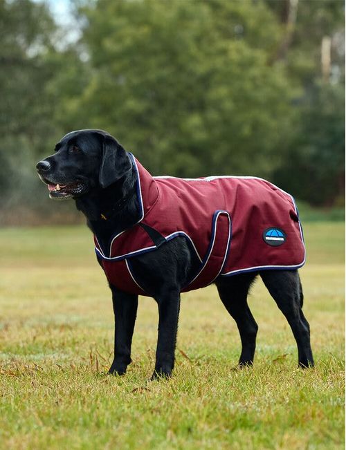 Weatherbeeta Comfitec Premier Deluxe Waterproof Dog Coat - Burgundy/Navy