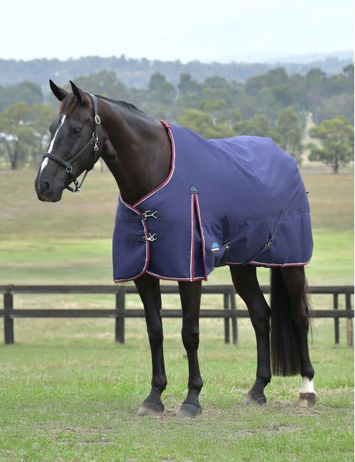 Weatherbeeta Comfitec Essential Turnout 360g - Navy/Burgundy