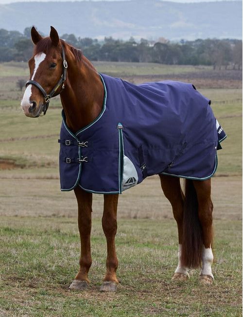 Weatherbeeta Comfitec Plus Dynamic Turnout 0g - Navy/Forest Green
