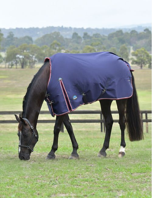 Weatherbeeta Comfitec Essential Turnout 100g - Navy/Burgundy