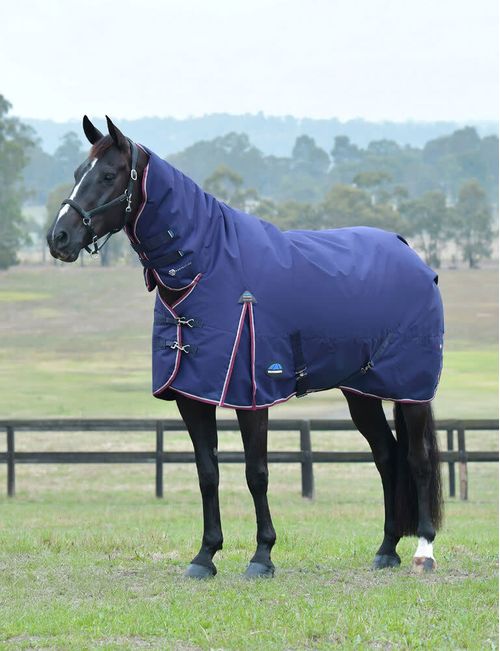 Weatherbeeta Comfitec Essential Turnout Combo 220g - Navy/Burgundy