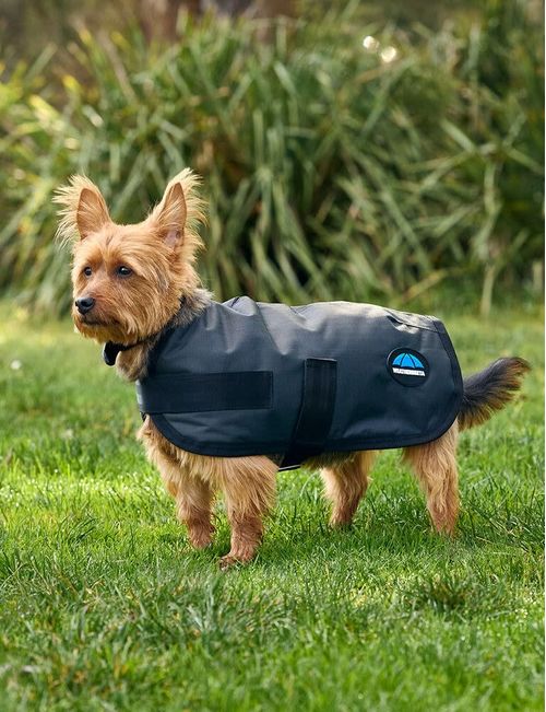 Weatherbeeta Comfitec Classic Waterproof Dog Coat - Charcoal