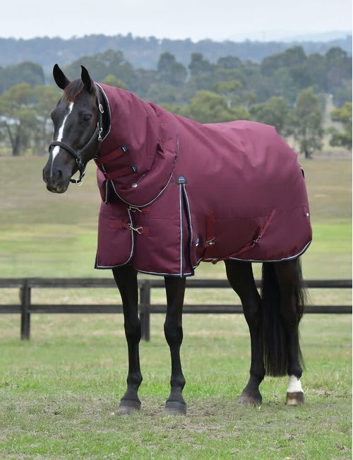 Weatherbeeta Comfitec Essential Turnout Detach-A-Neck 220g - Burgundy/Navy