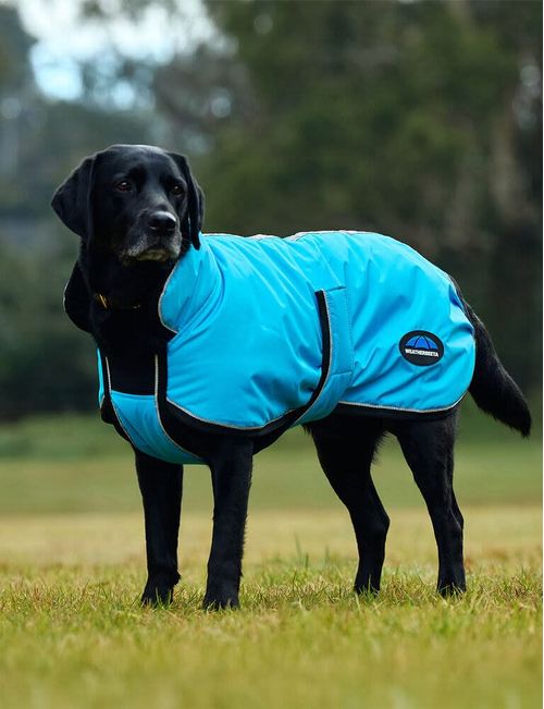 Weatherbeeta Comfitec Reflective 300D Deluxe Showerproof Dog Coat - Blue