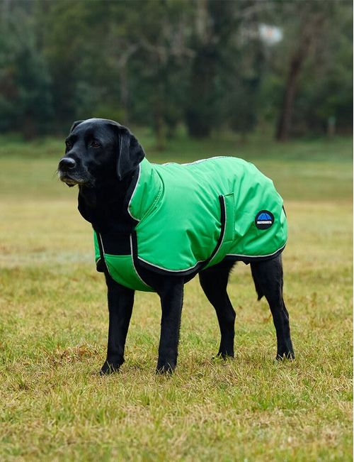 Weatherbeeta Comfitec Reflective 300D Deluxe Showerproof Dog Coat - Green