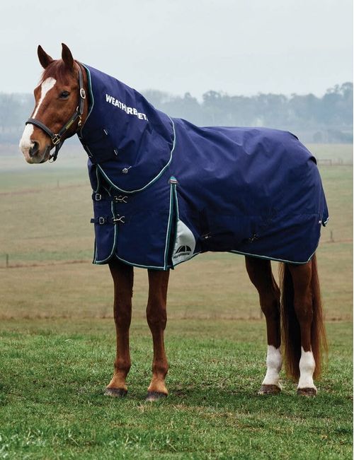 Weatherbeeta Comfitec Plus Dynamic Turnout Detach-A-Neck 360g - Navy/Forest Green