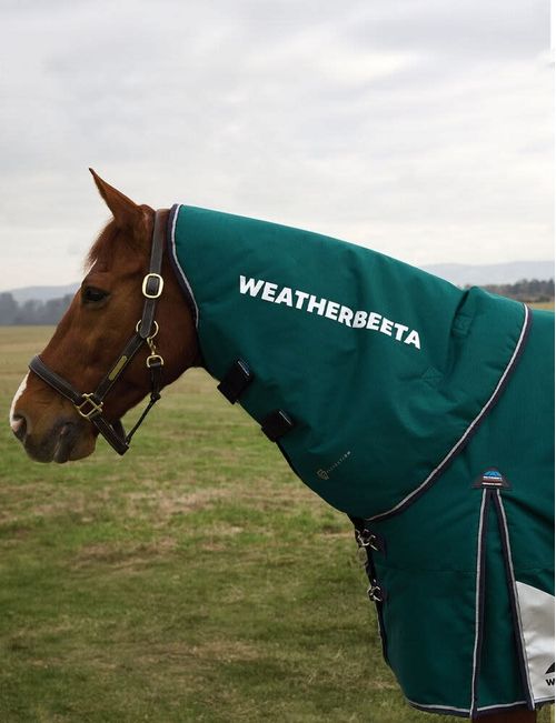Weatherbeeta Comfitec Plus Dynamic Turnout Neck Cover 220g - Forest Green/Navy