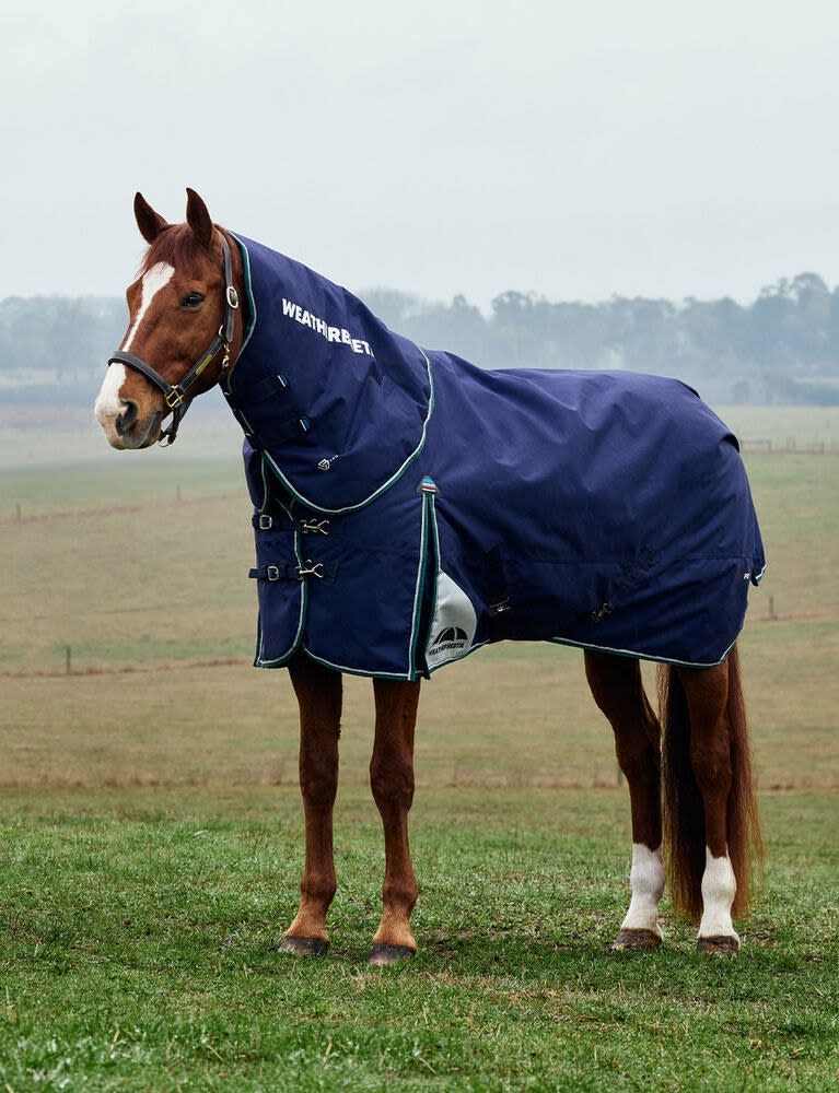 Weatherbeeta Comfitec Plus Dynamic Turnout Detach-A-Neck 220g - Navy/Forest Green