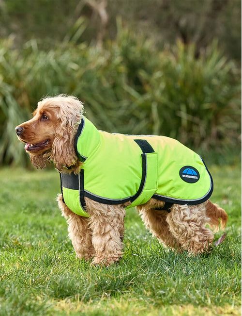 Weatherbeeta Comfitec Reflective 300D Deluxe Showerproof Dog Coat - Yellow