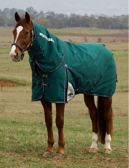 Weatherbeeta Comfitec Plus Dynamic Turnout Detach-A-Neck 360g - Forest Green/Navy
