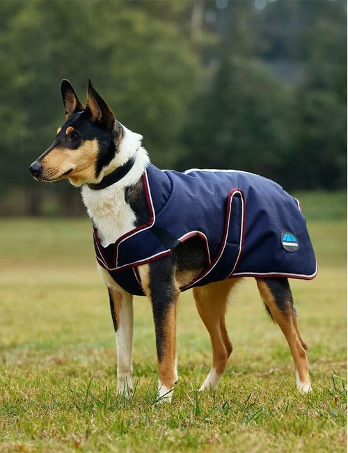 Weatherbeeta Comfitec Premier Deluxe Waterproof Dog Coat - Navy/Burgundy