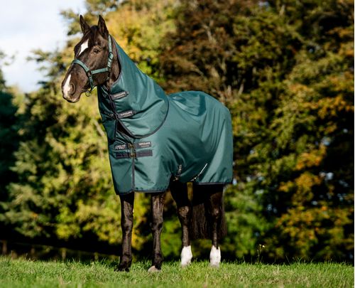 Amigo Ripstop 900D Plus Pony Turnout 200g - Dynasty Green/Navy/Silver