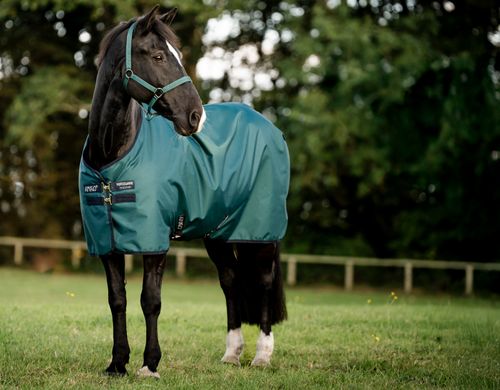 Amigo Ripstop 900 Fleece Lined Original 50g - Dynasty Green/Navy/Silver