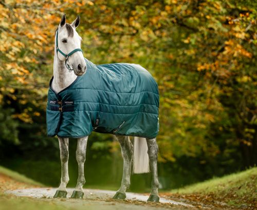 Amigo Diamond Insulator 200g - Dynasty Green/Navy/Silver